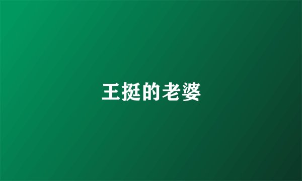 王挺的老婆