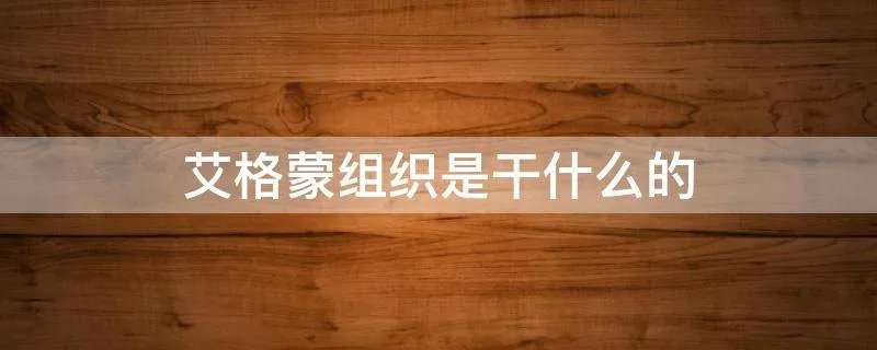 艾格蒙组织是干什么的
