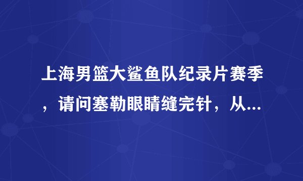 上海男篮大鲨鱼队纪录片赛季，请问塞勒眼睛缝完针，从后台奔跑着然后上场的这段背景乐叫什么名字？