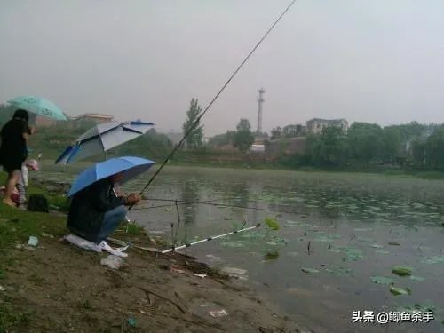 下雨天河边钓鱼,打鱼窝有没有效果,知道的老铁能否分享下经验?