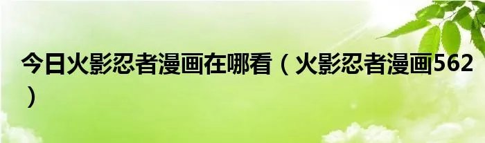今日火影忍者漫画在哪看（火影忍者漫画562）