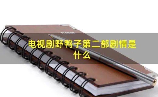 电视剧野鸭子第二部剧情是什么
