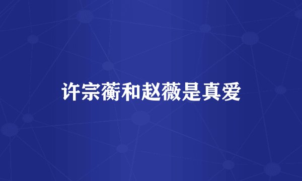许宗蘅和赵薇是真爱