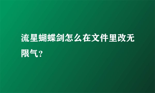 流星蝴蝶剑怎么在文件里改无限气？