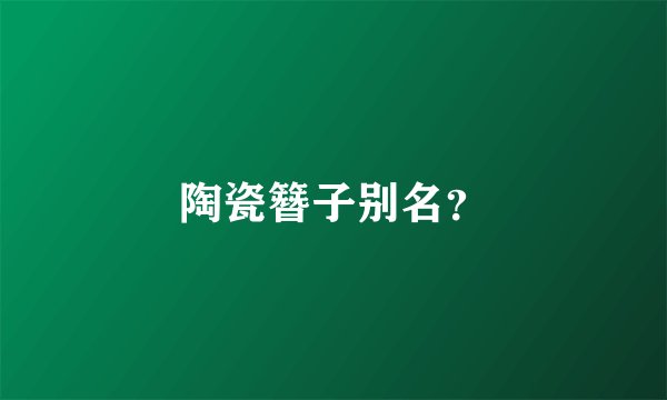 陶瓷簪子别名？