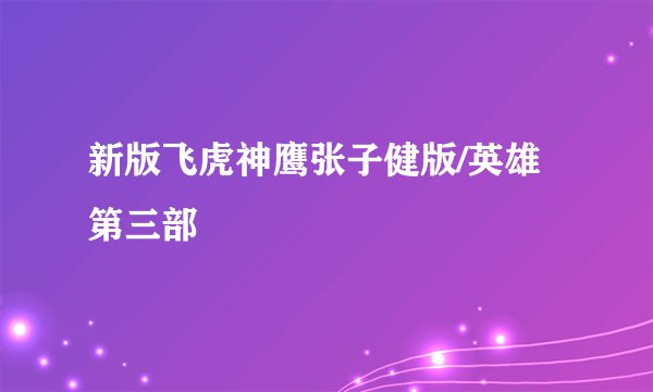 新版飞虎神鹰张子健版/英雄第三部