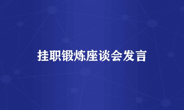 挂职锻炼座谈会发言