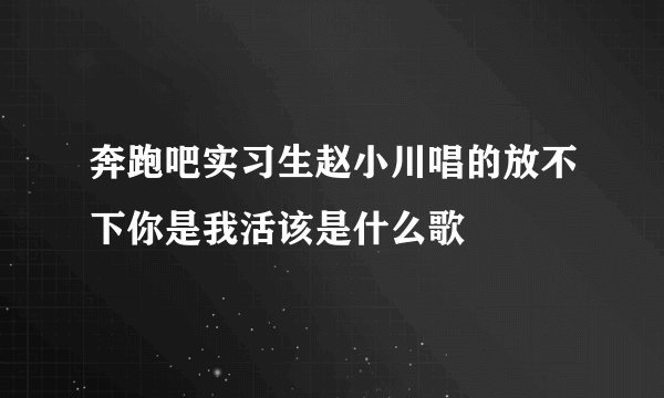 奔跑吧实习生赵小川唱的放不下你是我活该是什么歌