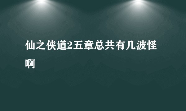 仙之侠道2五章总共有几波怪啊