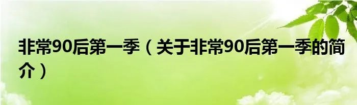 非常90后第一季(关于非常90后第一季的简介)