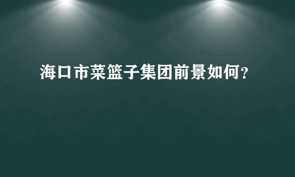 海口市菜篮子集团前景如何？