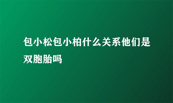 包小松包小柏什么关系他们是双胞胎吗