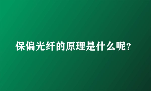 保偏光纤的原理是什么呢？