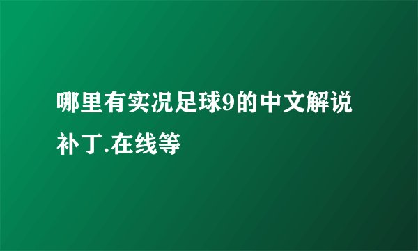 哪里有实况足球9的中文解说补丁.在线等