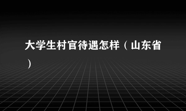 大学生村官待遇怎样（山东省）