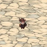 DNF历年的51套都是什么?