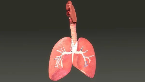 得了肺癌能活多久？四个重要因素决定了肺癌患者的生存期