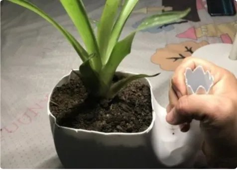 洗衣液瓶子做简易花盆制作方法图片大全