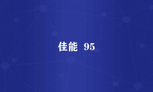 佳能  95