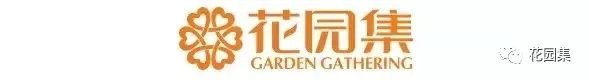 园集奖优秀作品 | 造一座走在诗句上的美好花园，愿不负初心不负你