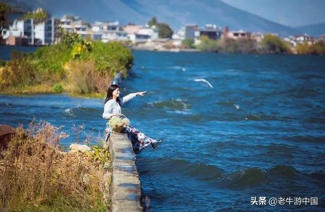 自由人旅行怎么样？