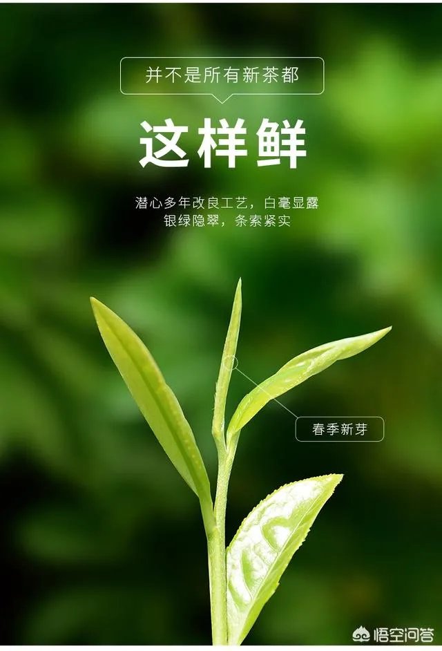 夏天喝什么饮料好？