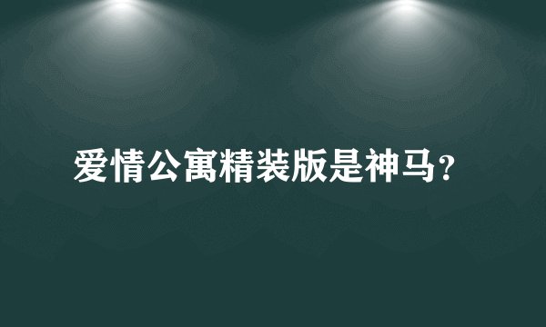 爱情公寓精装版是神马？