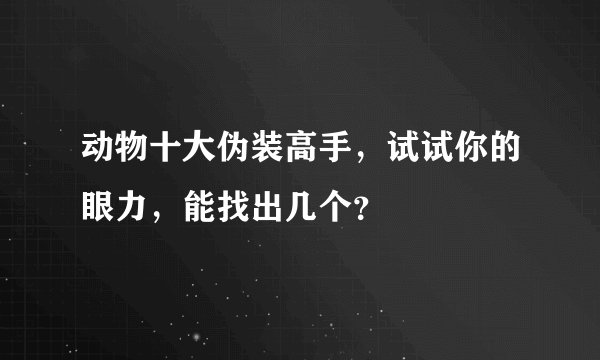 动物十大伪装高手，试试你的眼力，能找出几个？