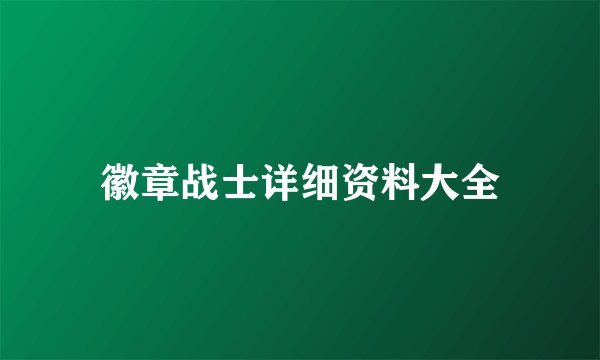 徽章战士详细资料大全