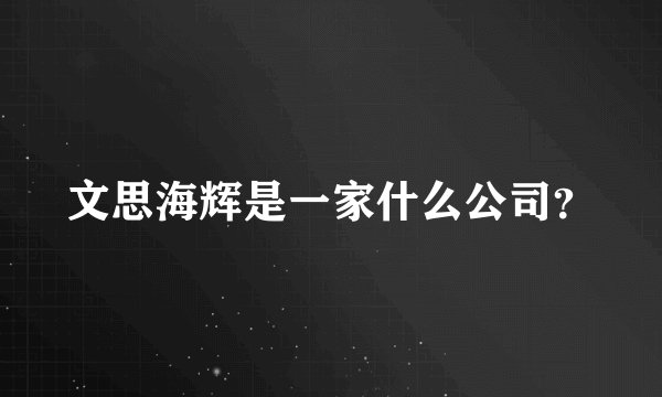 文思海辉是一家什么公司？