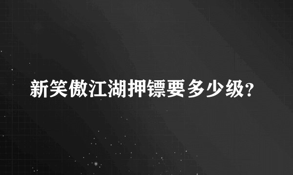 新笑傲江湖押镖要多少级？