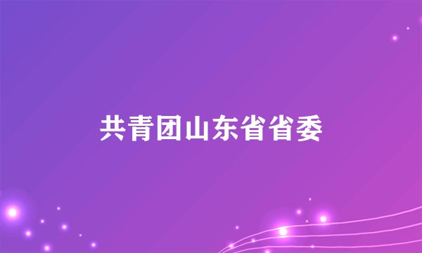 共青团山东省省委