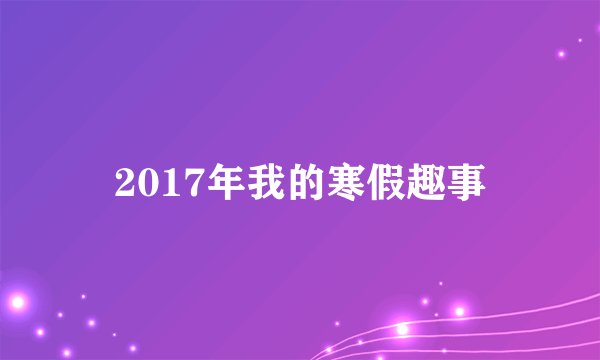 2017年我的寒假趣事