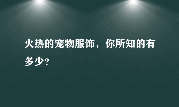 火热的宠物服饰，你所知的有多少？