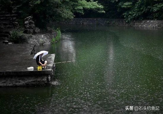下雨天河边钓鱼,打鱼窝有没有效果,知道的老铁能否分享下经验?