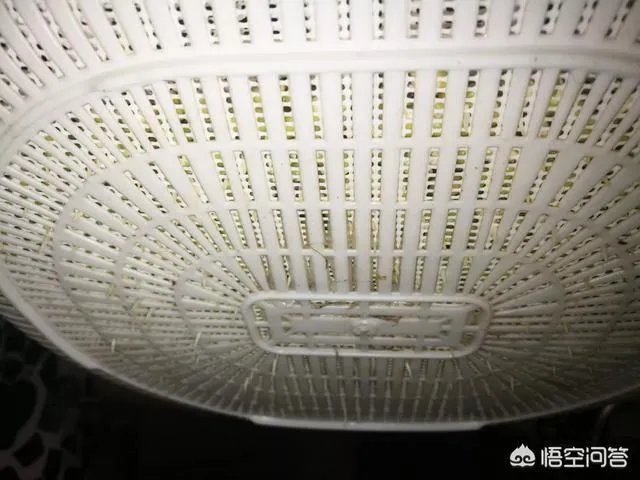 怎样生产豆芽？