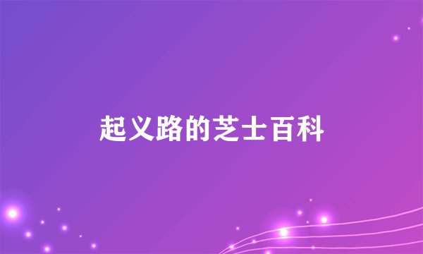 起义路的芝士百科