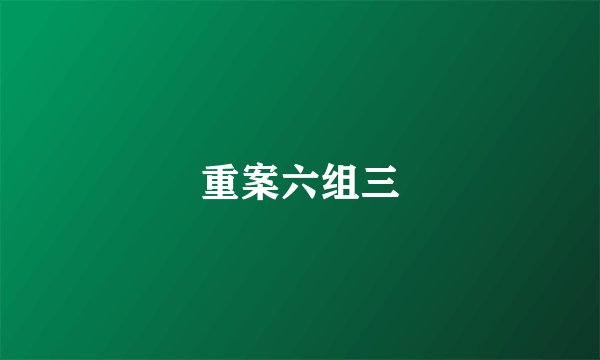 重案六组三
