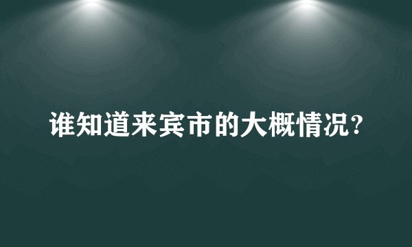 谁知道来宾市的大概情况?