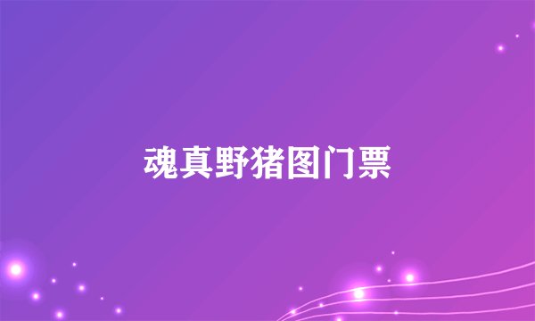 魂真野猪图门票