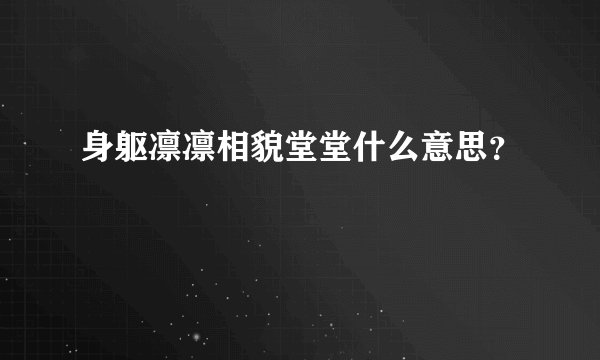 身躯凛凛相貌堂堂什么意思？
