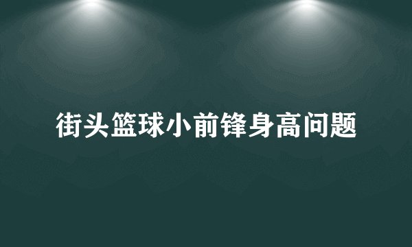街头篮球小前锋身高问题