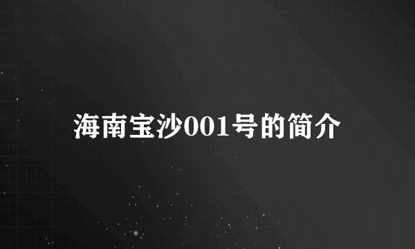 海南宝沙001号的简介