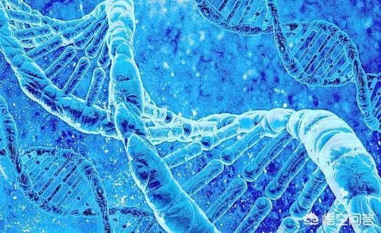 远古时期,地球上最大的食肉动物“里奥普鲁顿”真的存在吗?