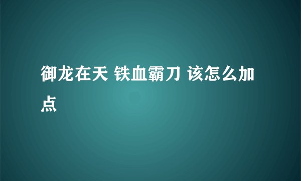 御龙在天 铁血霸刀 该怎么加点