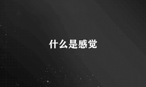 什么是感觉