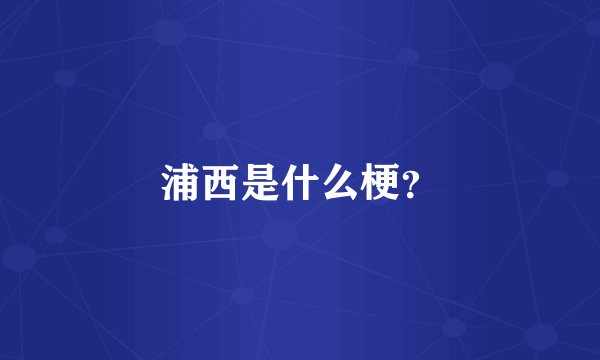 浦西是什么梗？
