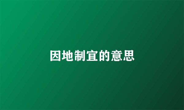 因地制宜的意思