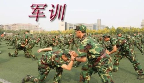 军训个人总结