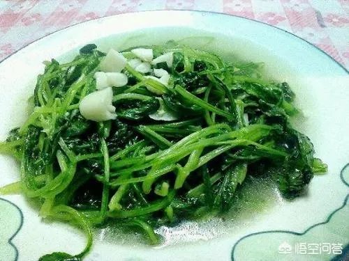 立秋后，上午种萝卜好还是下午种萝卜好？为什么？